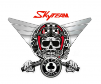 Skyteam Ace enlarge logo.png