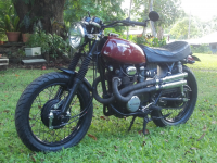 Fun and no-games CL350