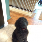 Darby