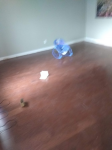 floor