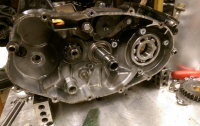Mr250 motor