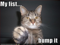 Fist bump