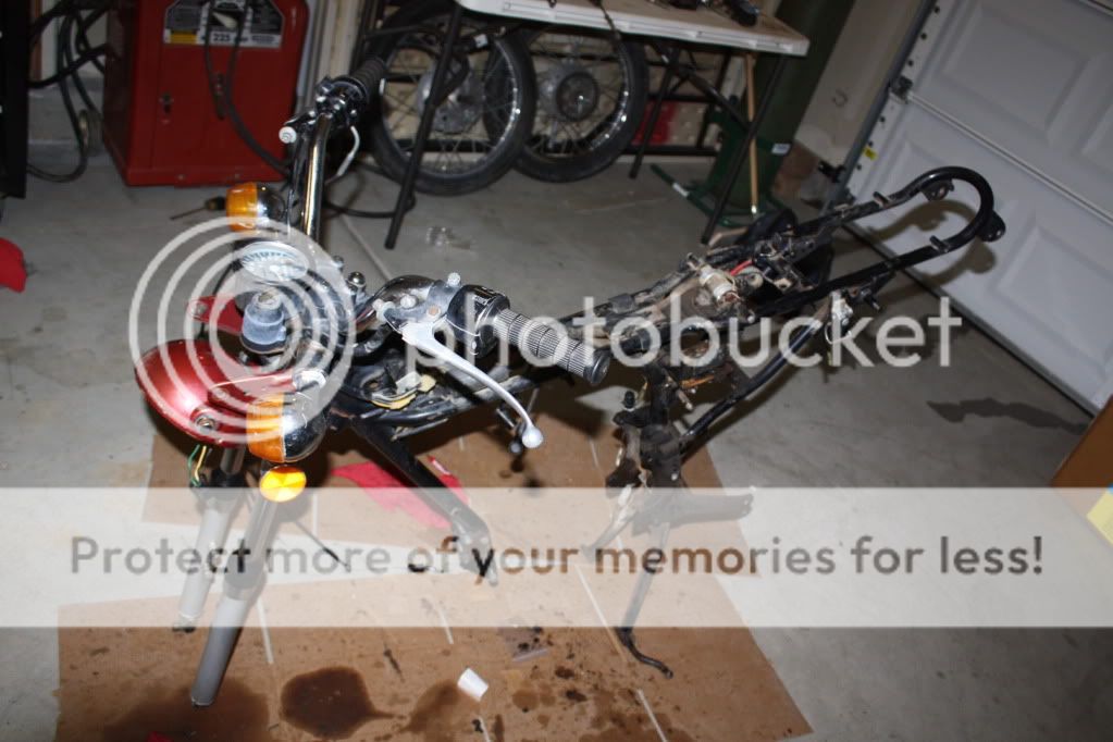 OurMotorcycles001.jpg