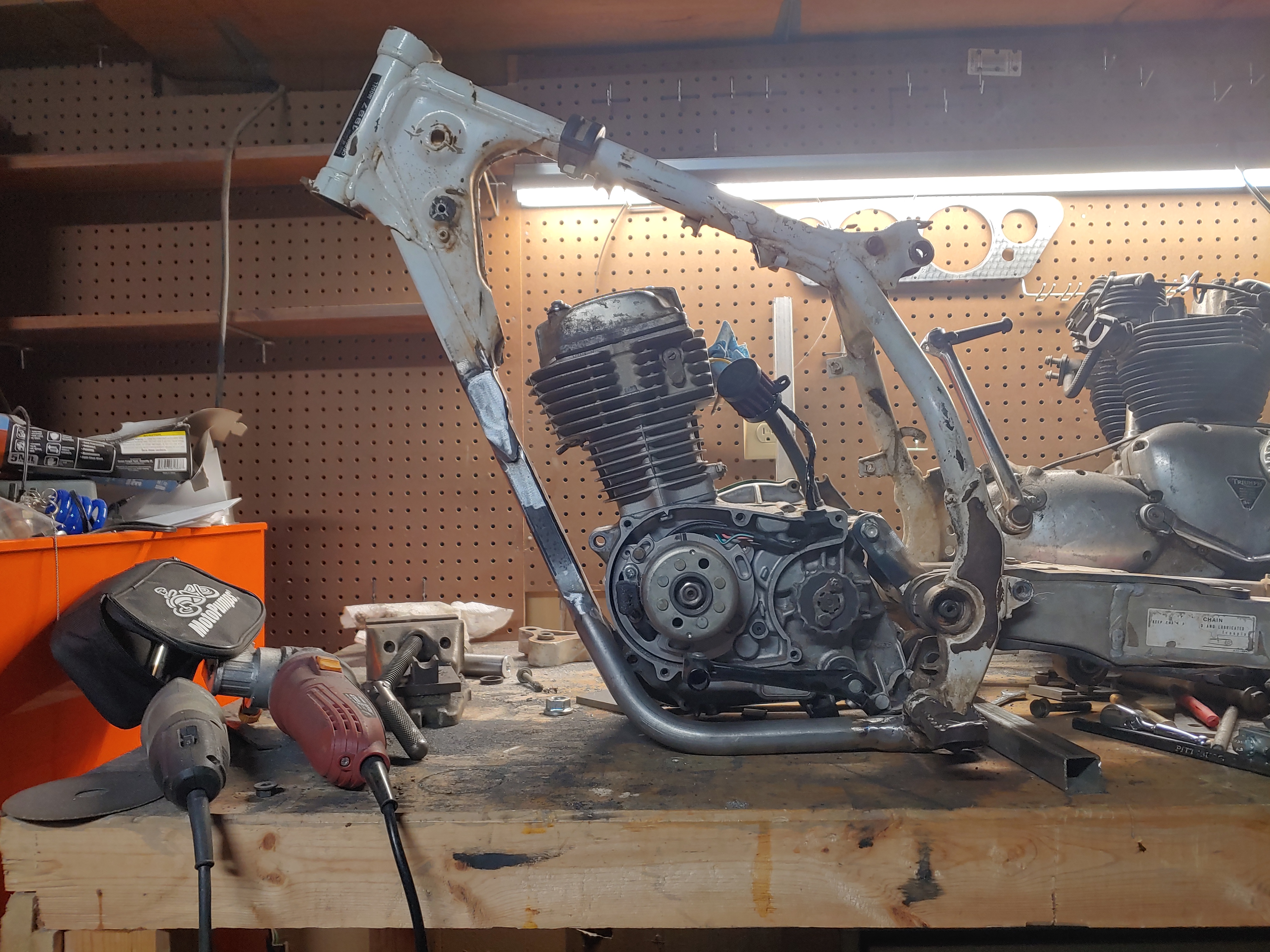 20201204_181900_HDR.jpg