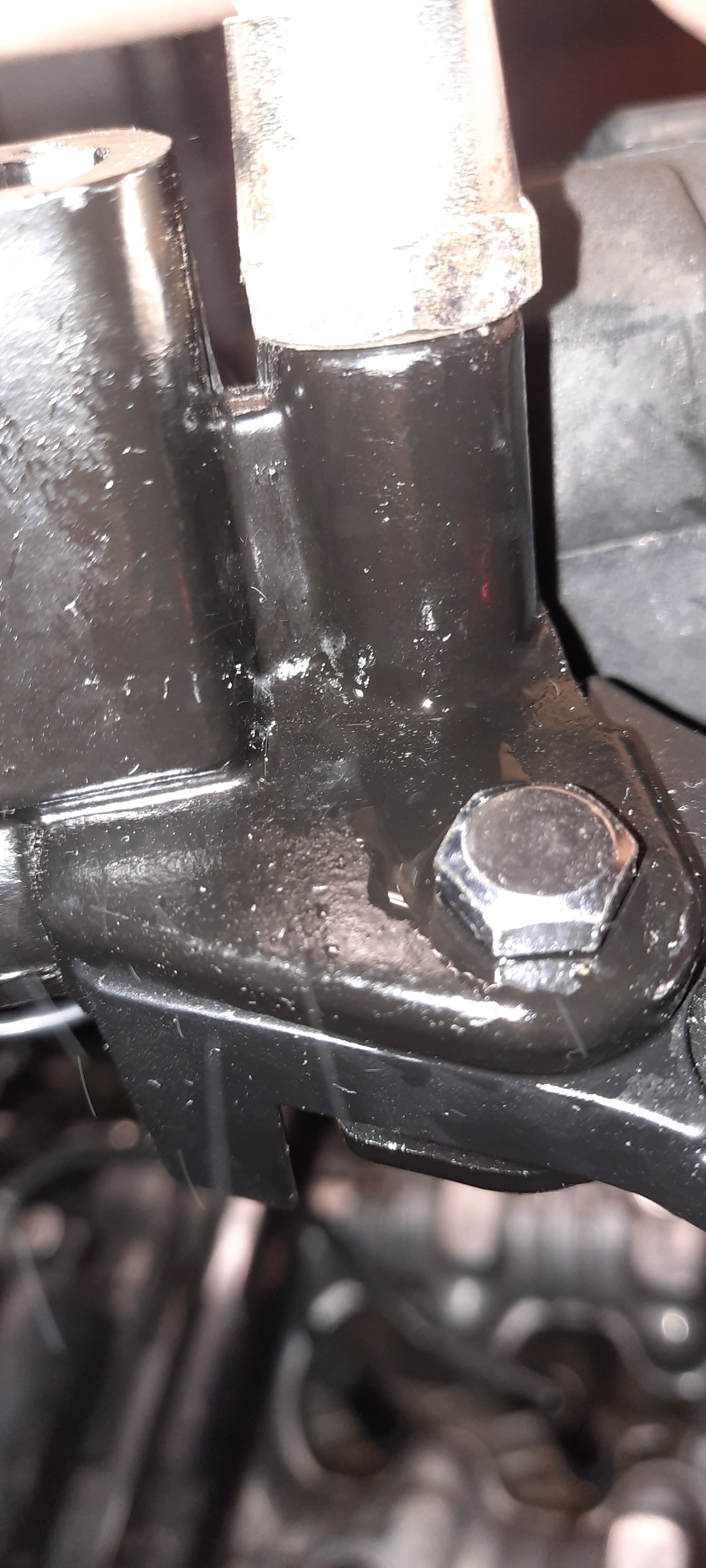 20201231_151752.jpg