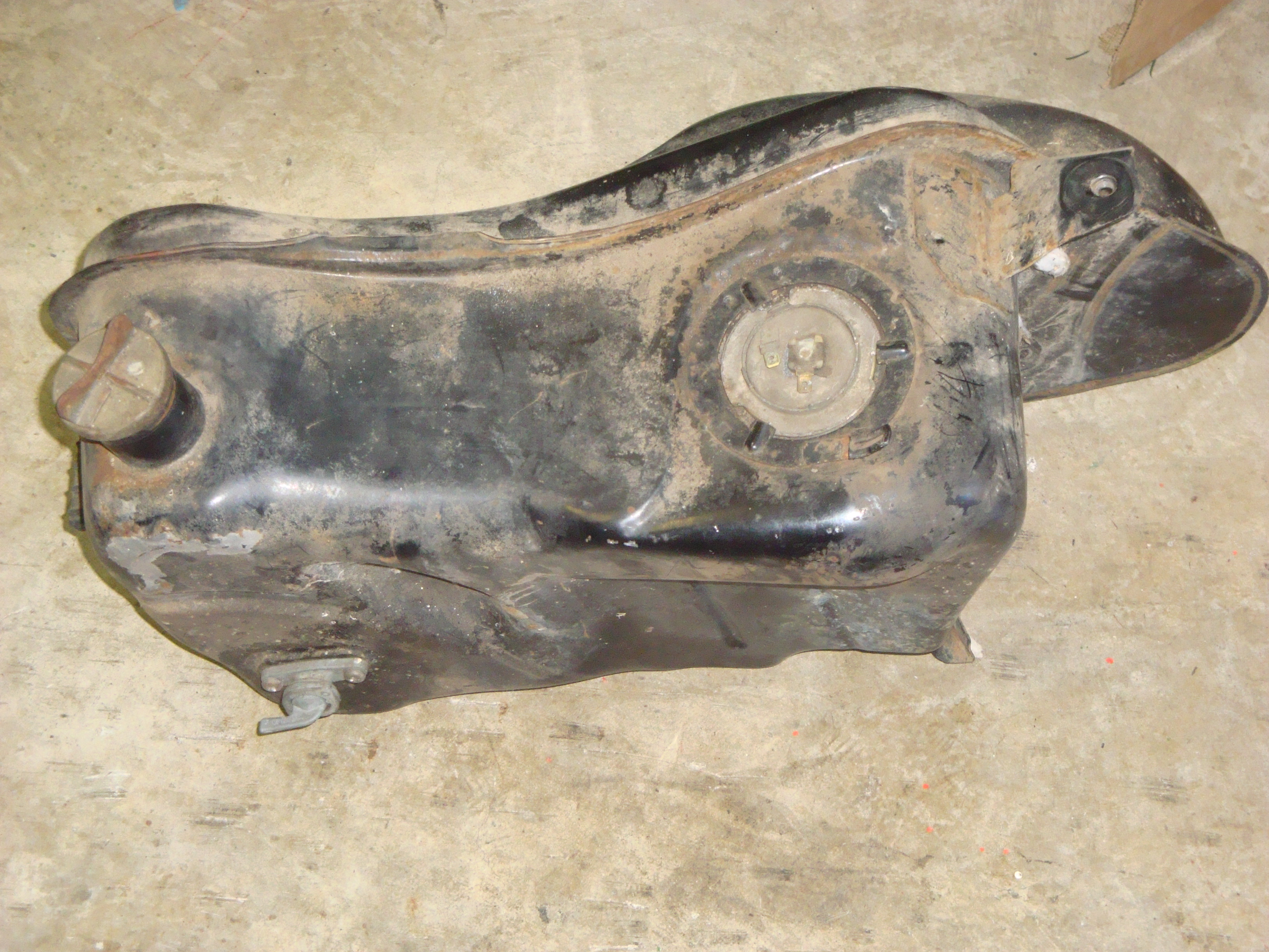 DSC07882.JPG