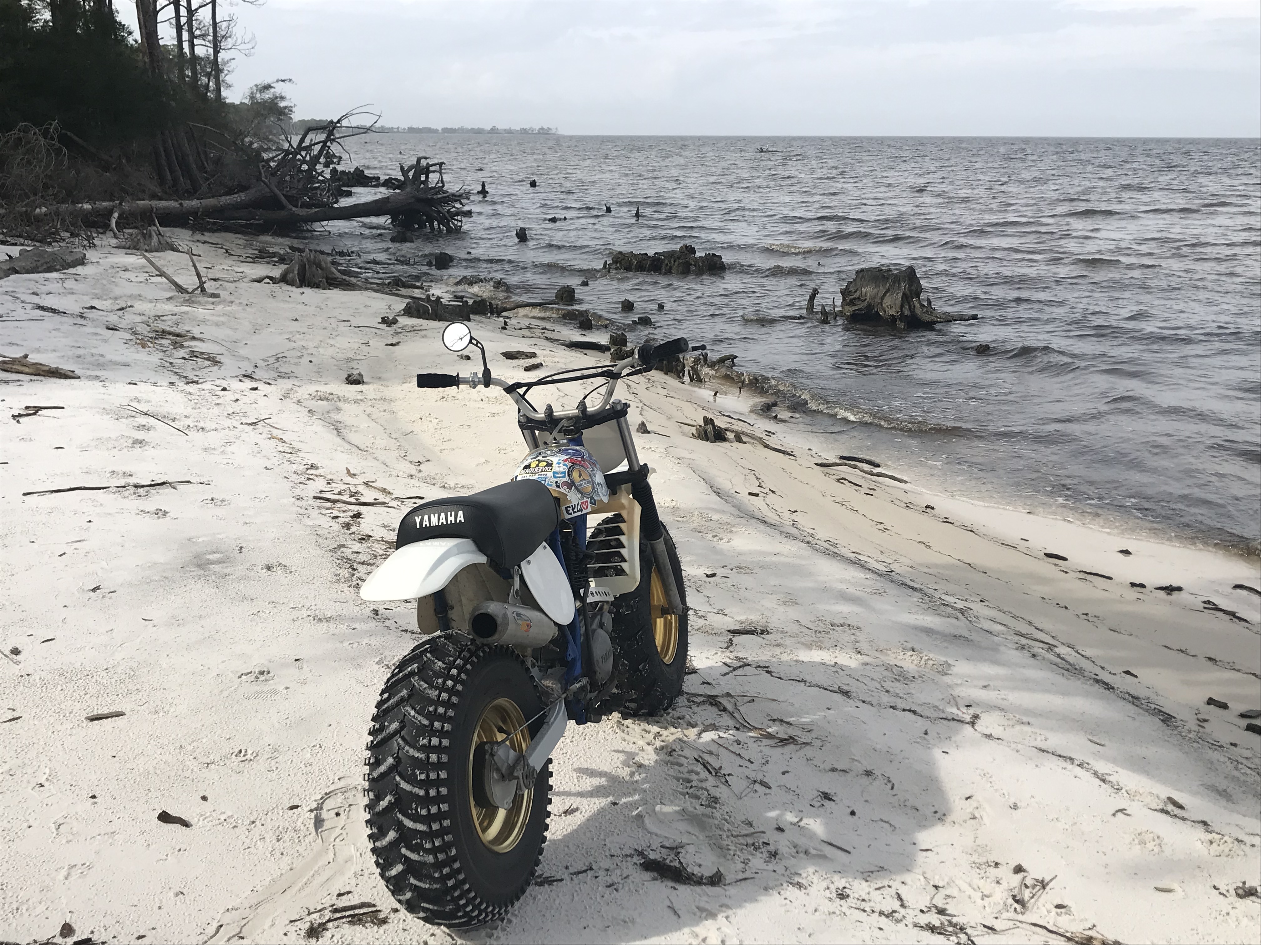 E644697C-6F16-4C57-9662-341E3B7A5E69.jpeg