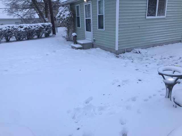 image82.jpeg
