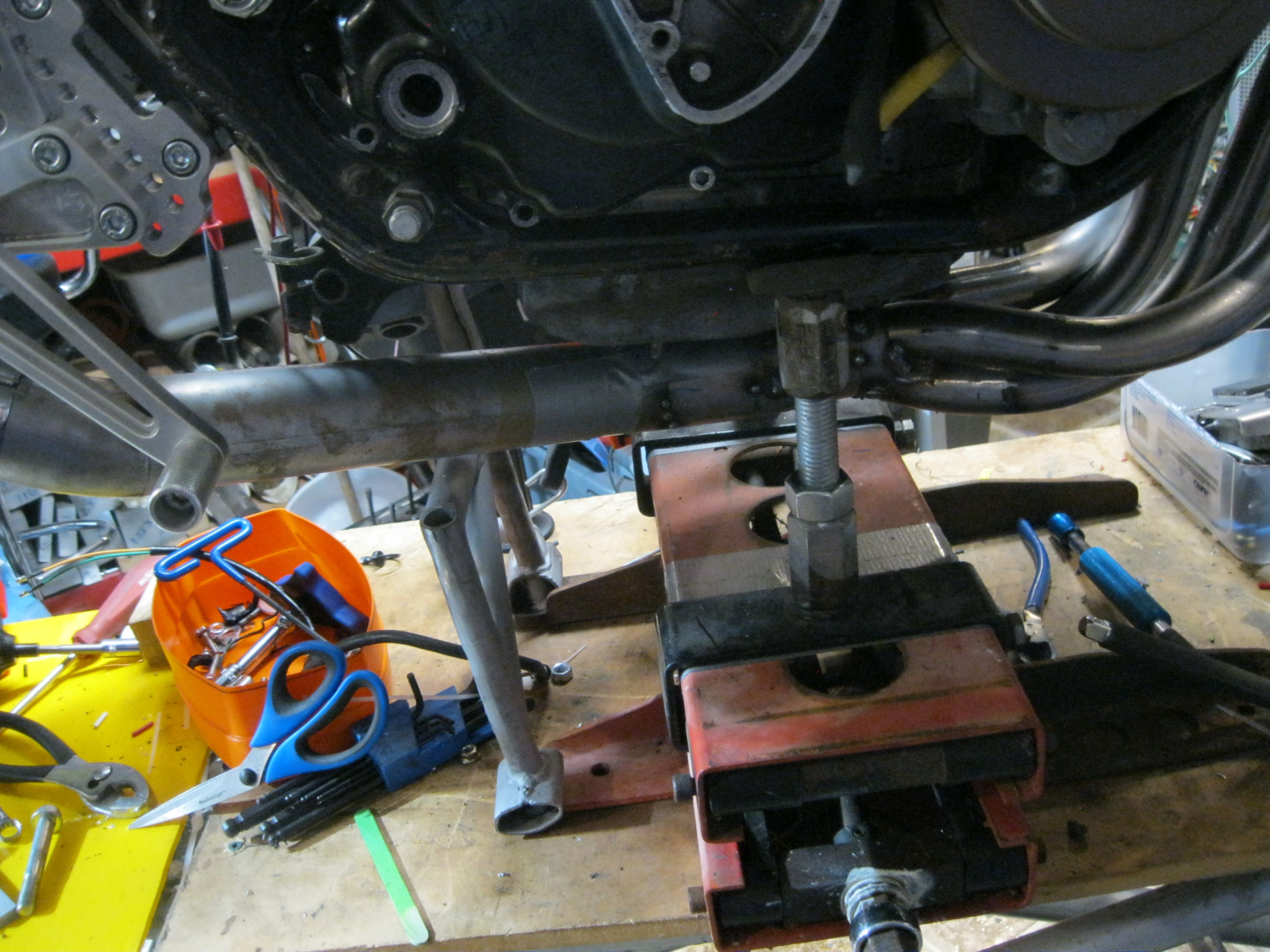 IMG_3763.JPG