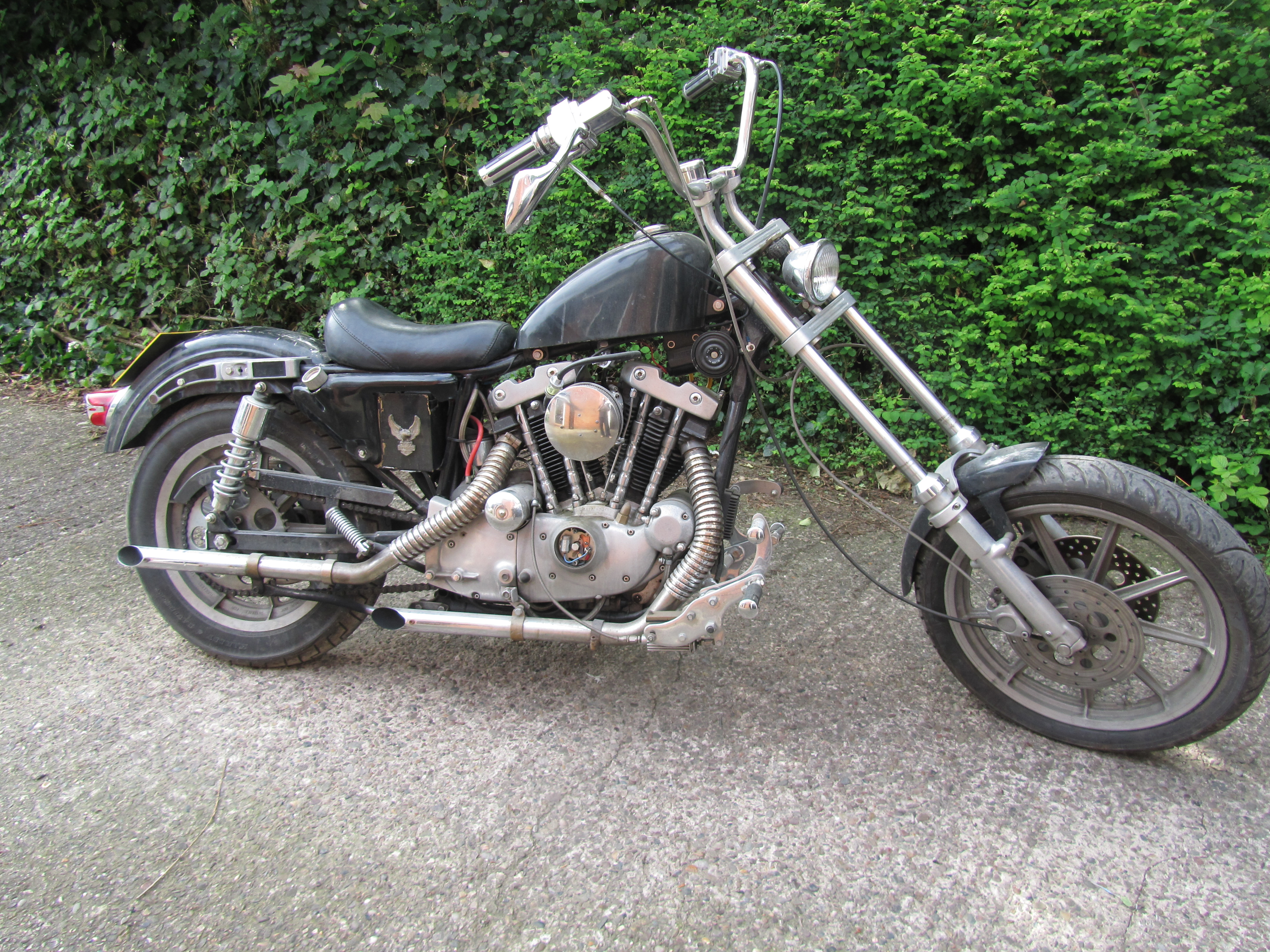 Ironhead1 002.JPG