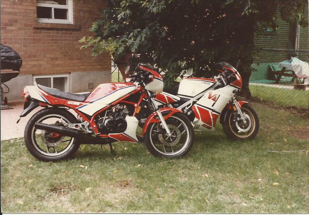 RZ350 & RZ500.jpg