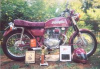 Bike in the yard 1.jpg