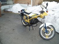 MB5 yellow 3.jpg