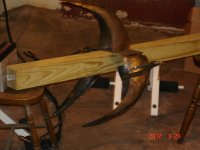 tail fin resized.jpg