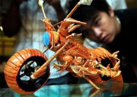 lobster bike.jpg