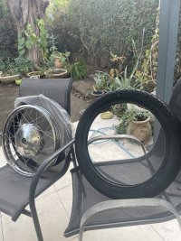 IMG_2856.jpeg
