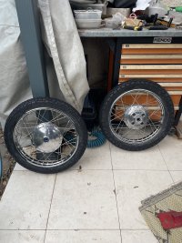 IMG_2858.jpeg