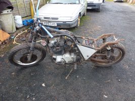 christmas 2012 003.jpg