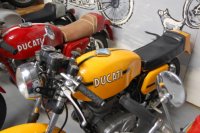 Yellow Ducati (504x335).jpg