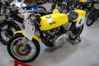 Yellow Norton (504x335).jpg