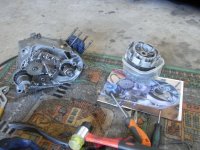 RIMG0189_zpsed0a1719[1].jpg