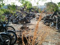 WP_000114.jpg