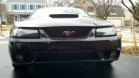 Stang.jpeg