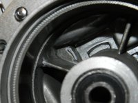 DSCN4270.JPG
