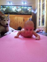 baby yoga.jpg