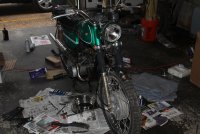 IMG_2950.JPG