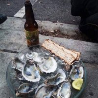 oysters.jpg