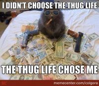 badass-cat_o_2693889.jpg
