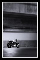 DPP_1341sm.jpg