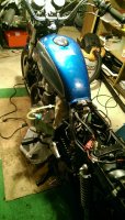 IMAG0338.jpg