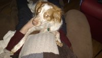 IMG_20160310_173337457.jpg