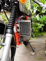 oil_cooler_2.jpg