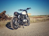 1981 Suzuki GS450L Scrambler 05.jpeg