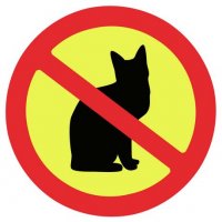 no cats.JPG