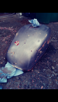 Screenshot_2019-04-12-19-29-50.png