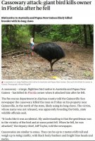 cassowary.JPG