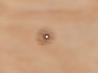 Sight holes X6.jpg