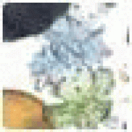 JefferyTrave