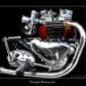 triumph77guy