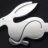 reflexsilver