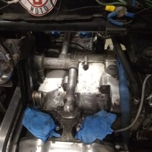 IMG_20200323_215011318.jpg