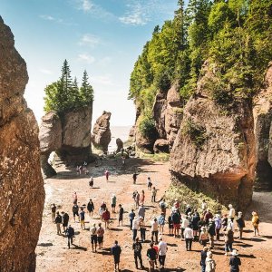 low-tide-at-hopewell-rocks.jpg