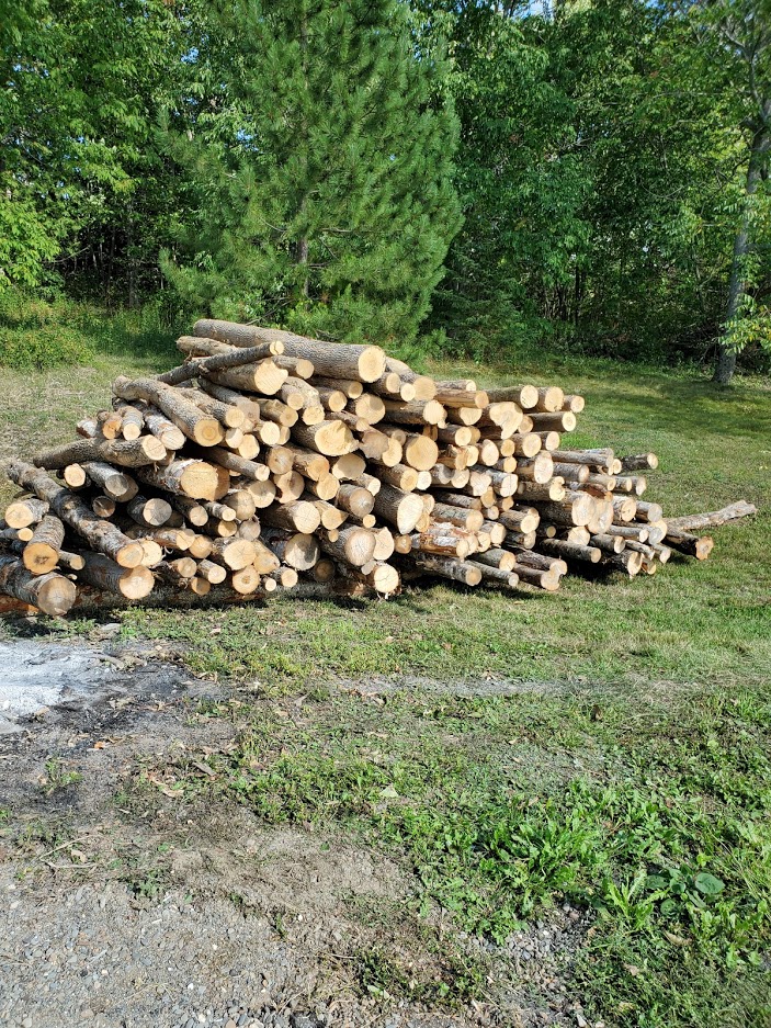 wood.jpg