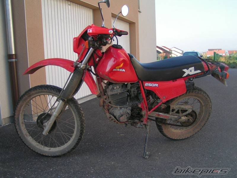 bikepics-1618892-800.jpg