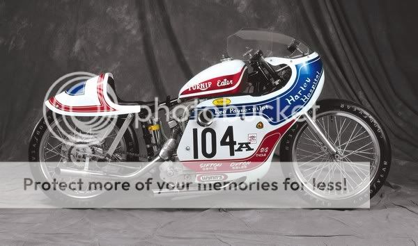 HD_LeoPayneSportster_600.jpg