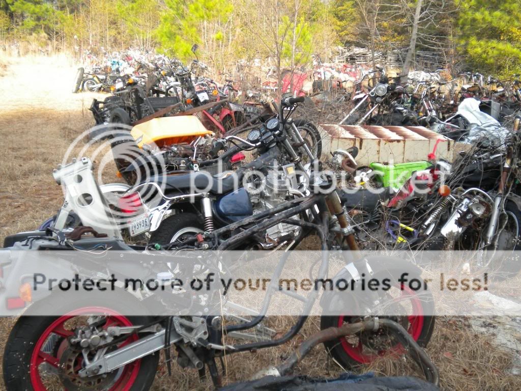 Salvage yard in South Carolina DO THE TON